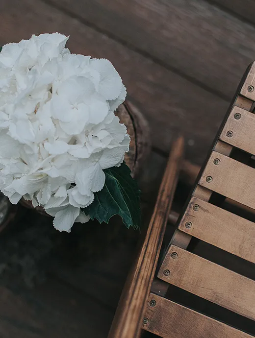 White flowers bring out the beautiful shade of the wood which makes up The Spinney